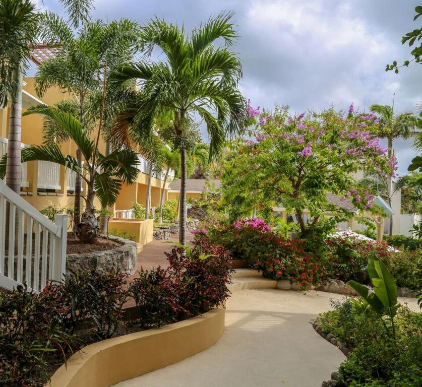 Ocean Terrace Inn Hotel Μπαστέρ Εξωτερικό φωτογραφία